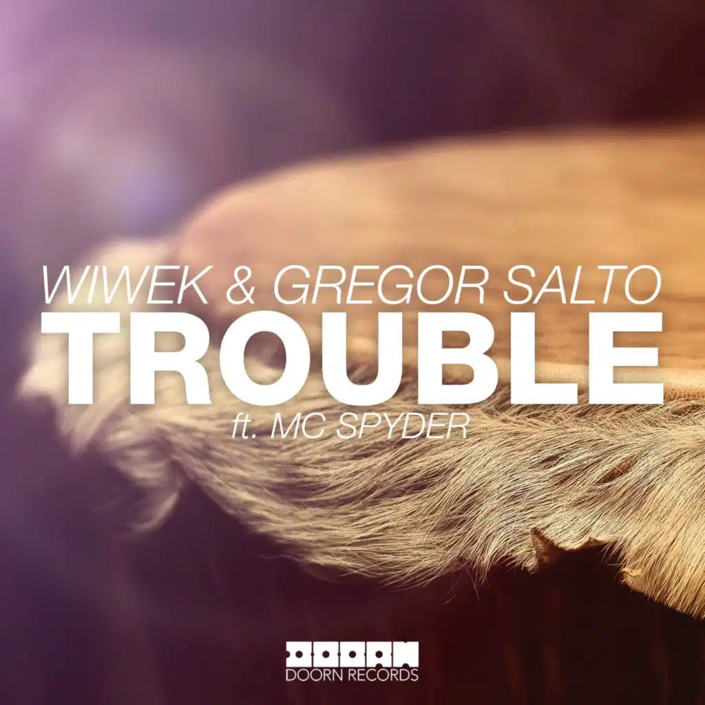 Wiwek & Gregor Salto