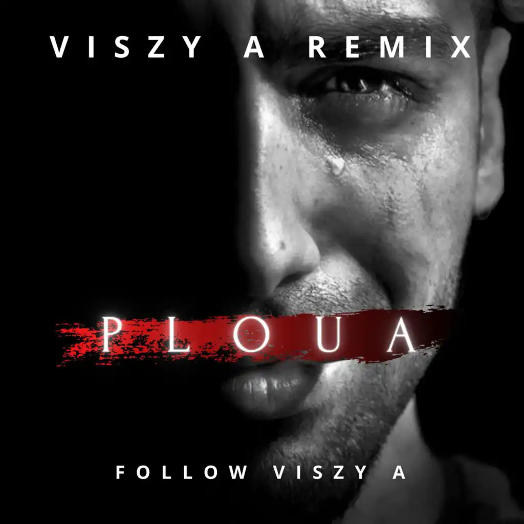 Ploua (Viszy A Remix)