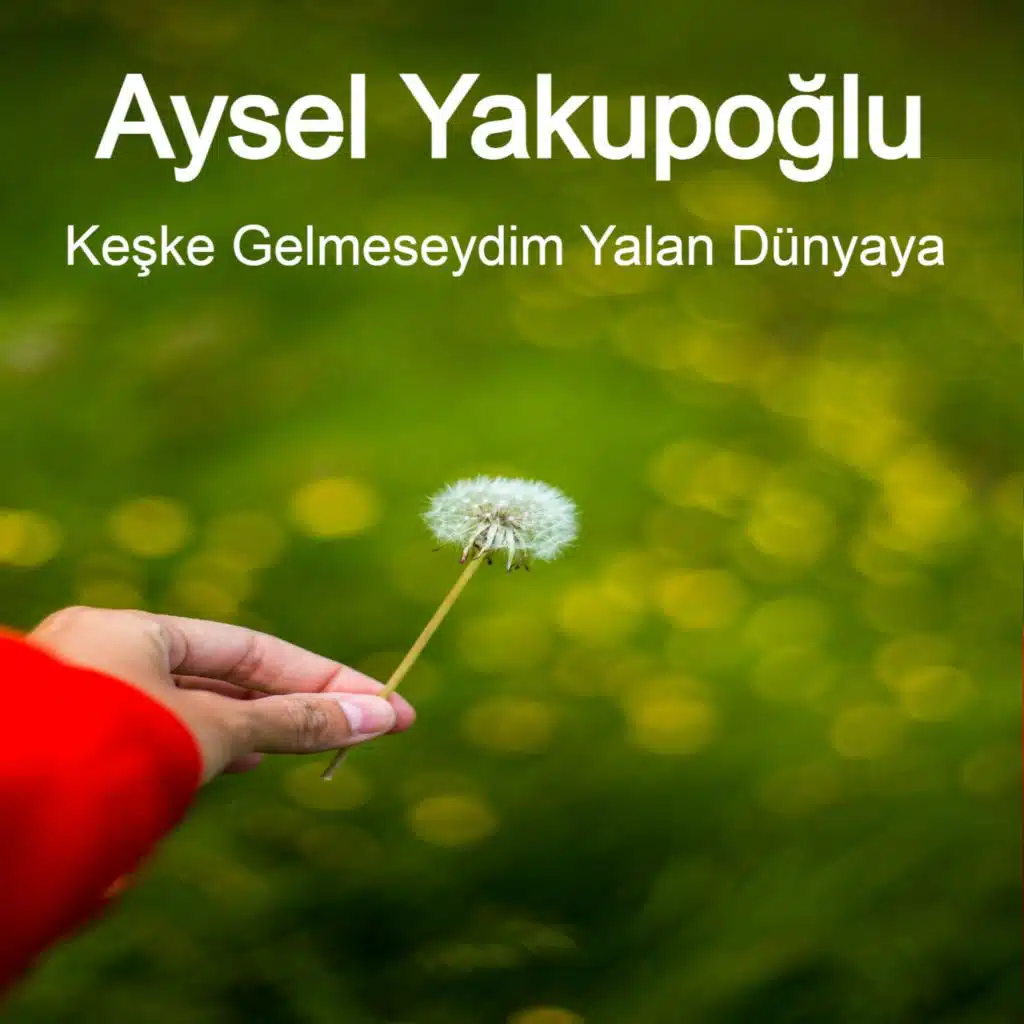 Keşke Gelmeseydim Yalan Dünyaya