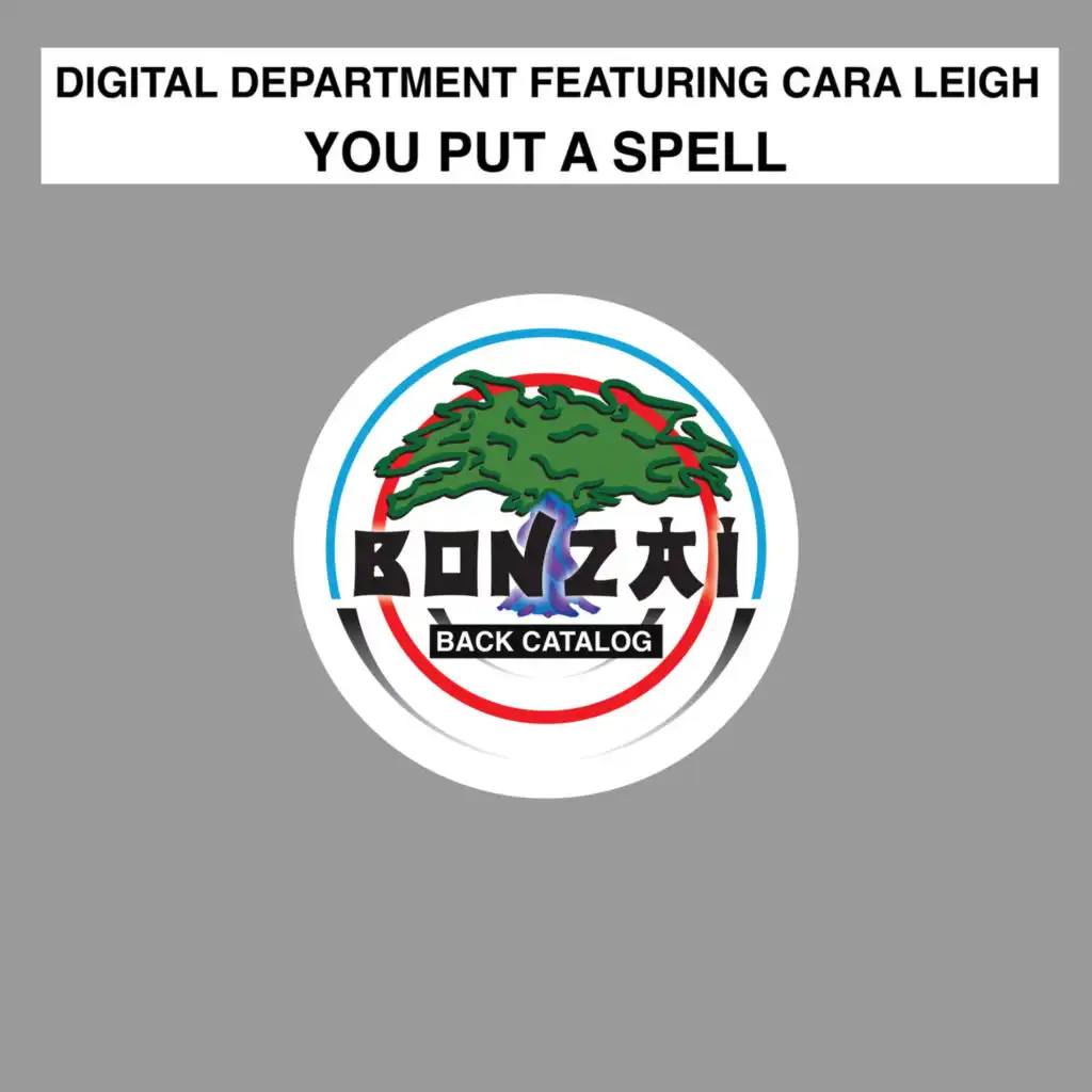 You Put A Spell (Wild Guess' Incantation Mix) feat. Cara Leigh