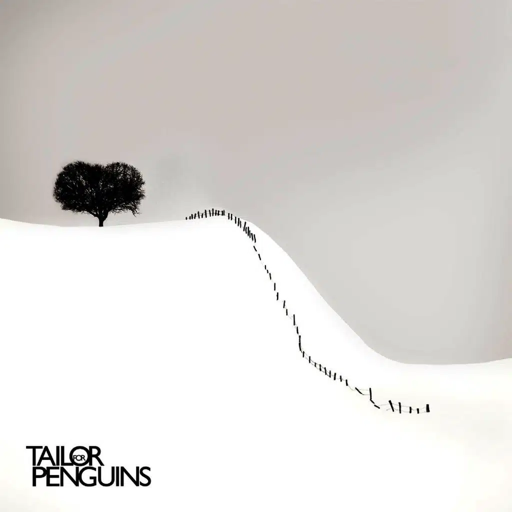 Tailor for Penguins - EP