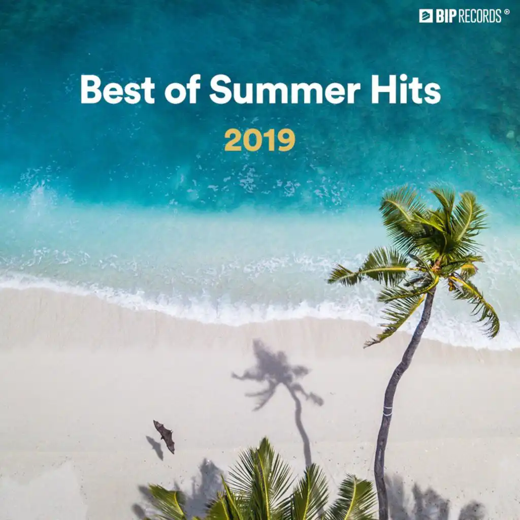 Best Of Summer Hits 2019