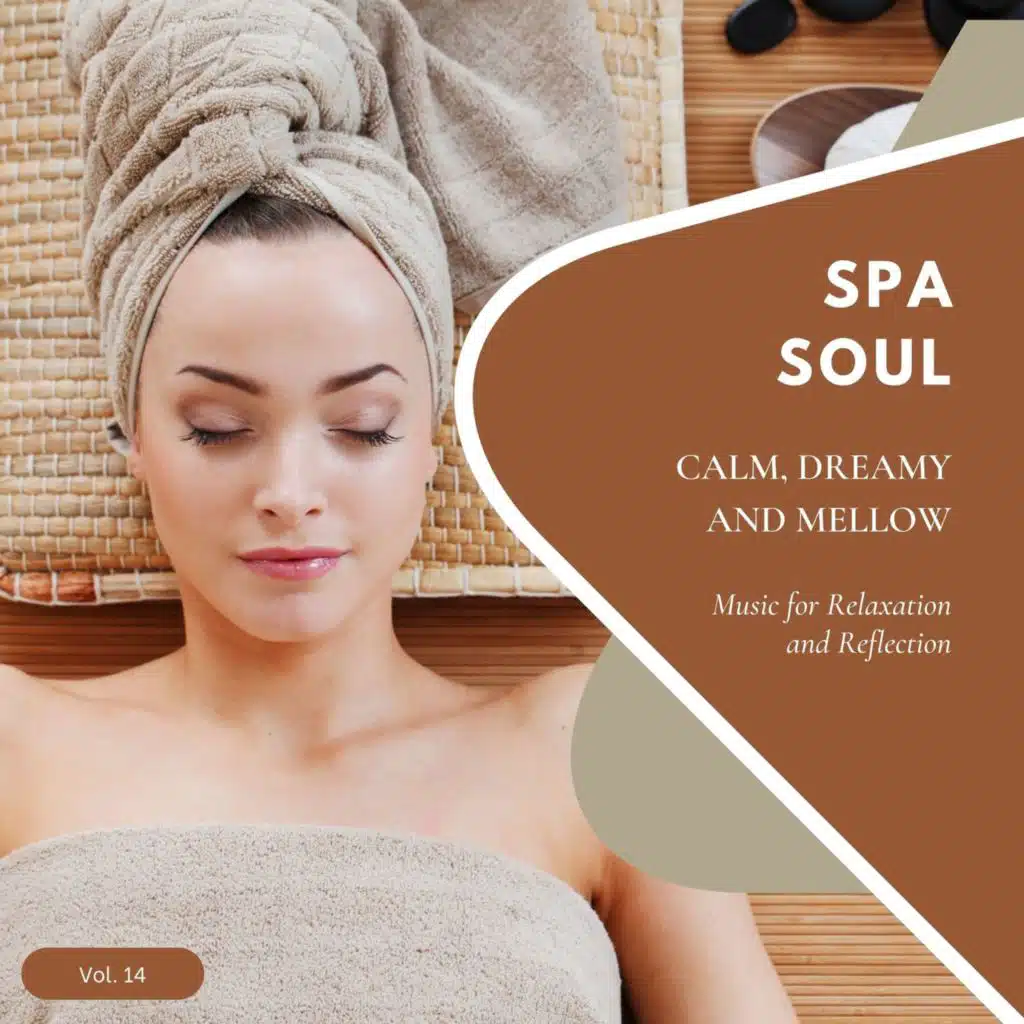 Spa Soul - Calm, Dreamy And Mellow Music For Relaxation And Reflextion, Vol. 14