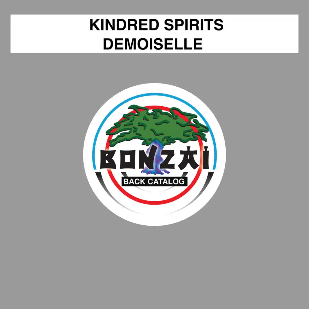 Demoiselle (Kevin Vega Remix)