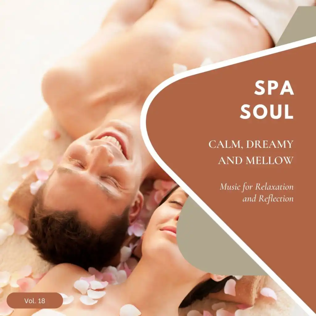 Spa Soul - Calm, Dreamy And Mellow Music For Relaxation And Reflextion, Vol. 18