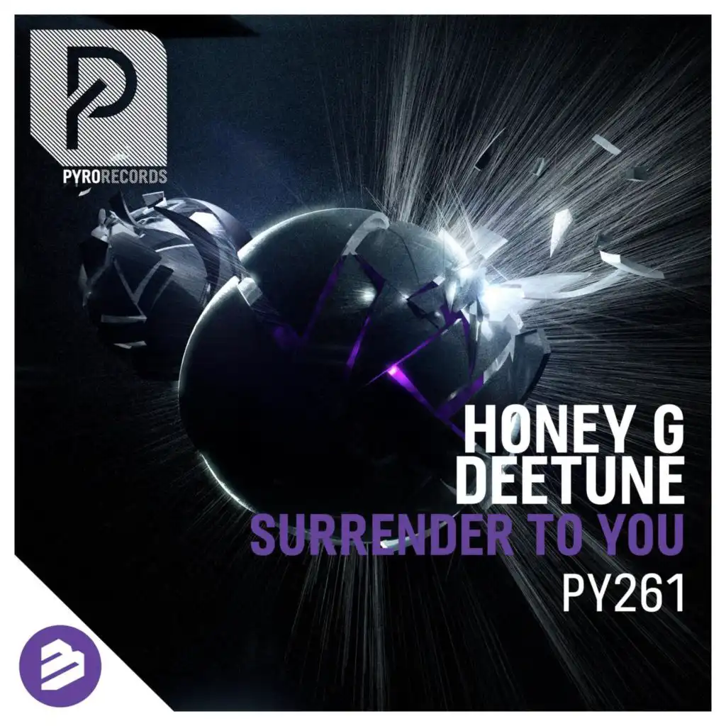Surrender to You (Extended Mix)
