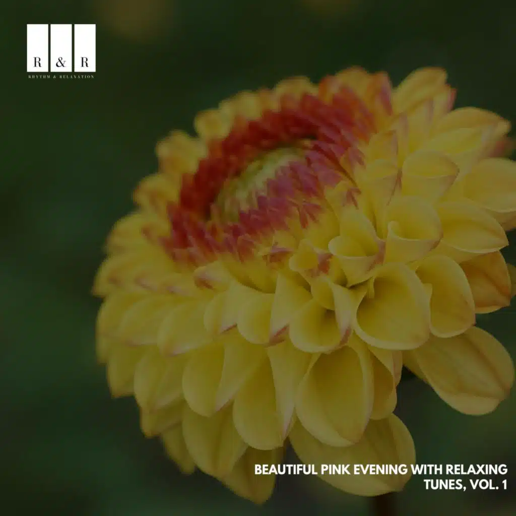 Beautiful Piano Mystery