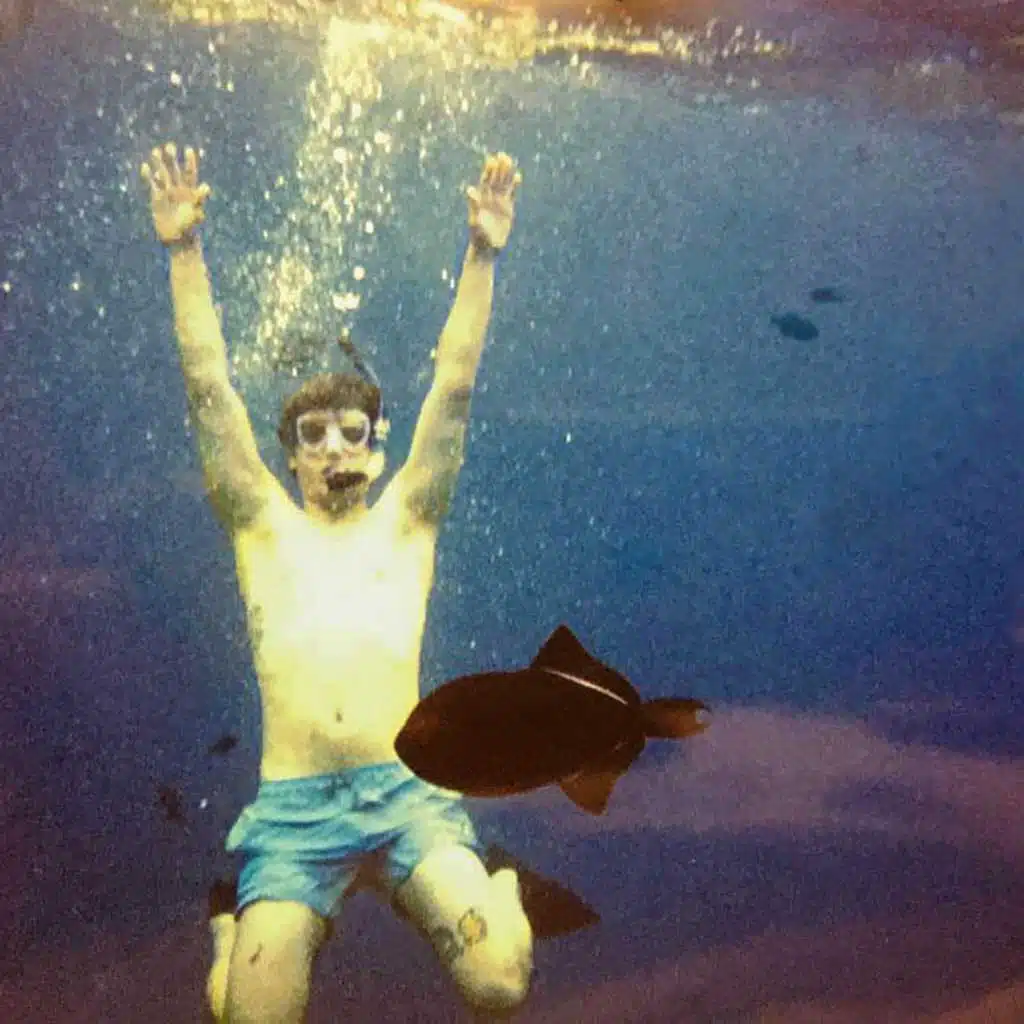 The Musical Stylings of...