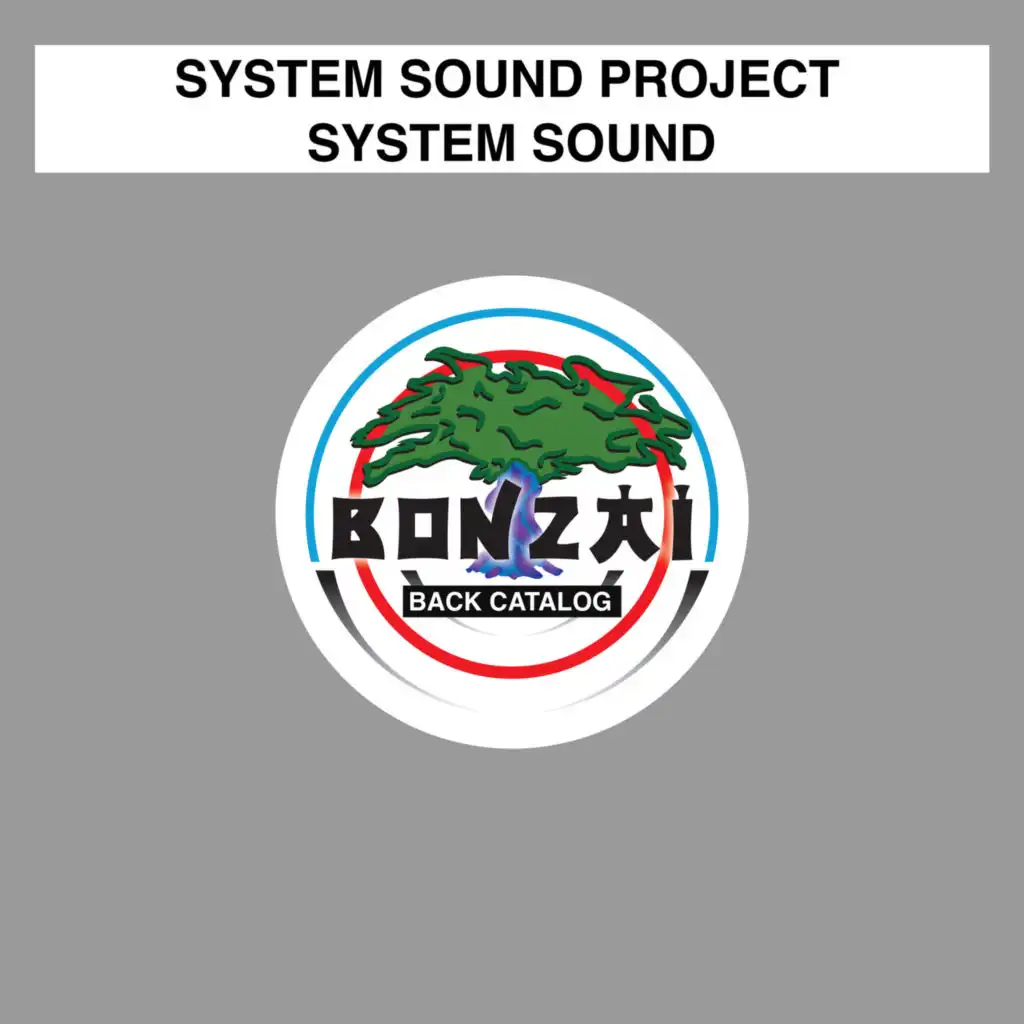 System Sound Project