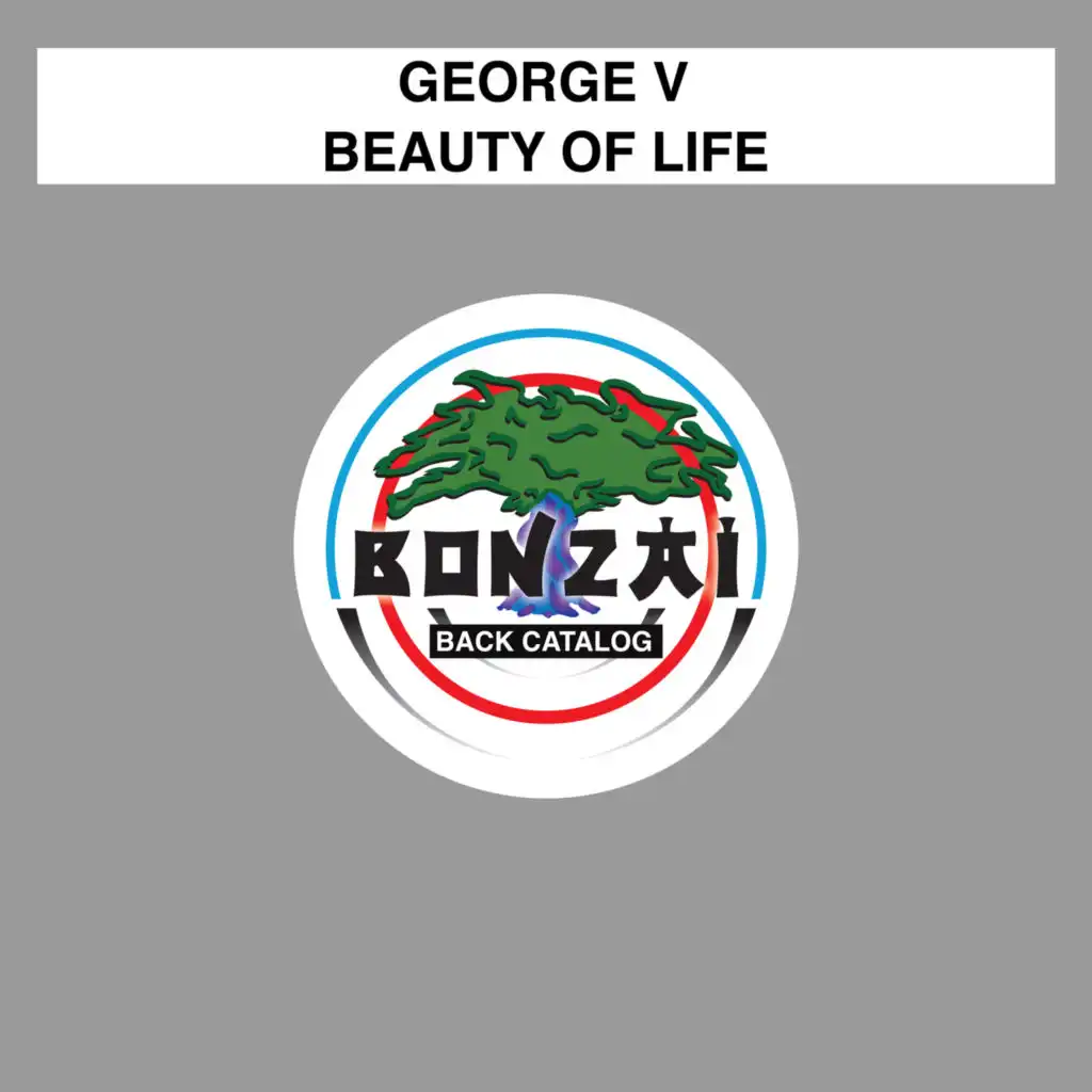 Beauty of Life (Zakat Project Remix)