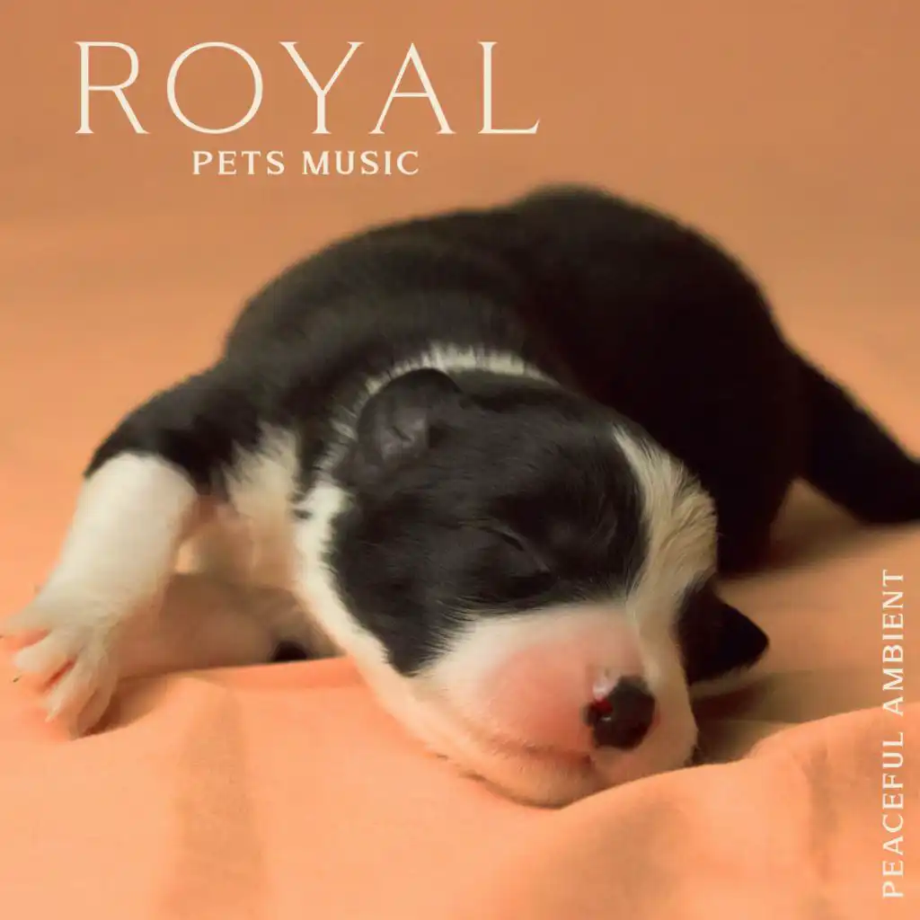 Soothing Music for Puppy