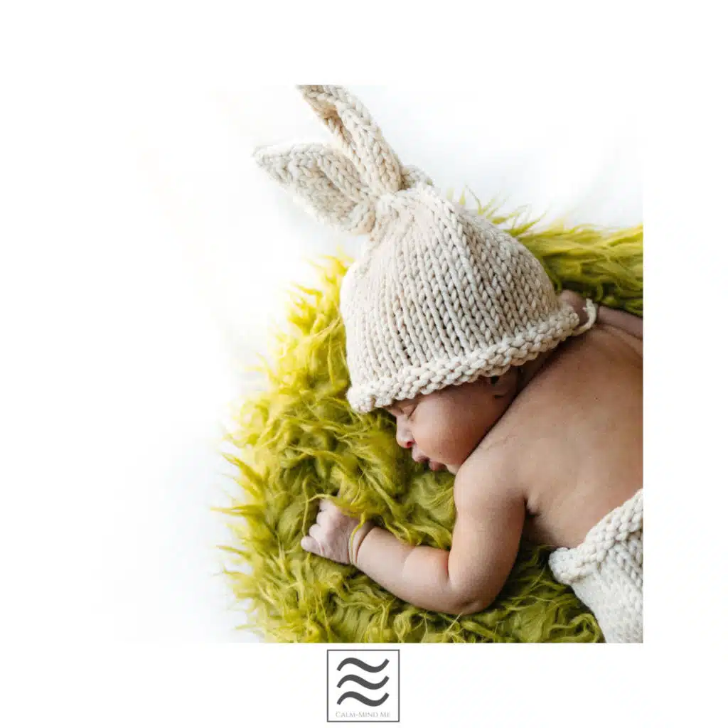 Enjoyable Calming Noises for Babies