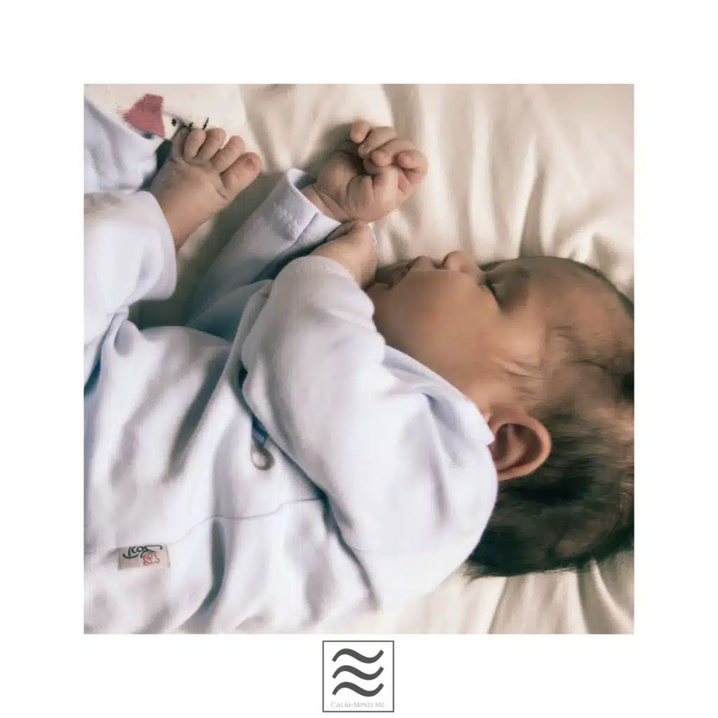 White Noises for Shushing Sleeping (feat. White Noise Baby Sleep, White Noise Baby Sleep Music, White Noise Meditation)