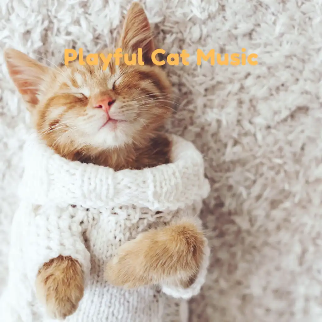 Playful Cat Music