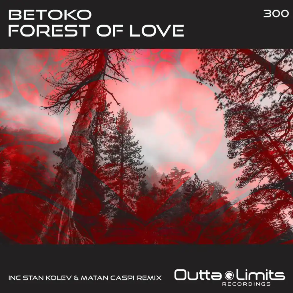 Forest of Love (Stan Kolev & Matan Caspi Remix)