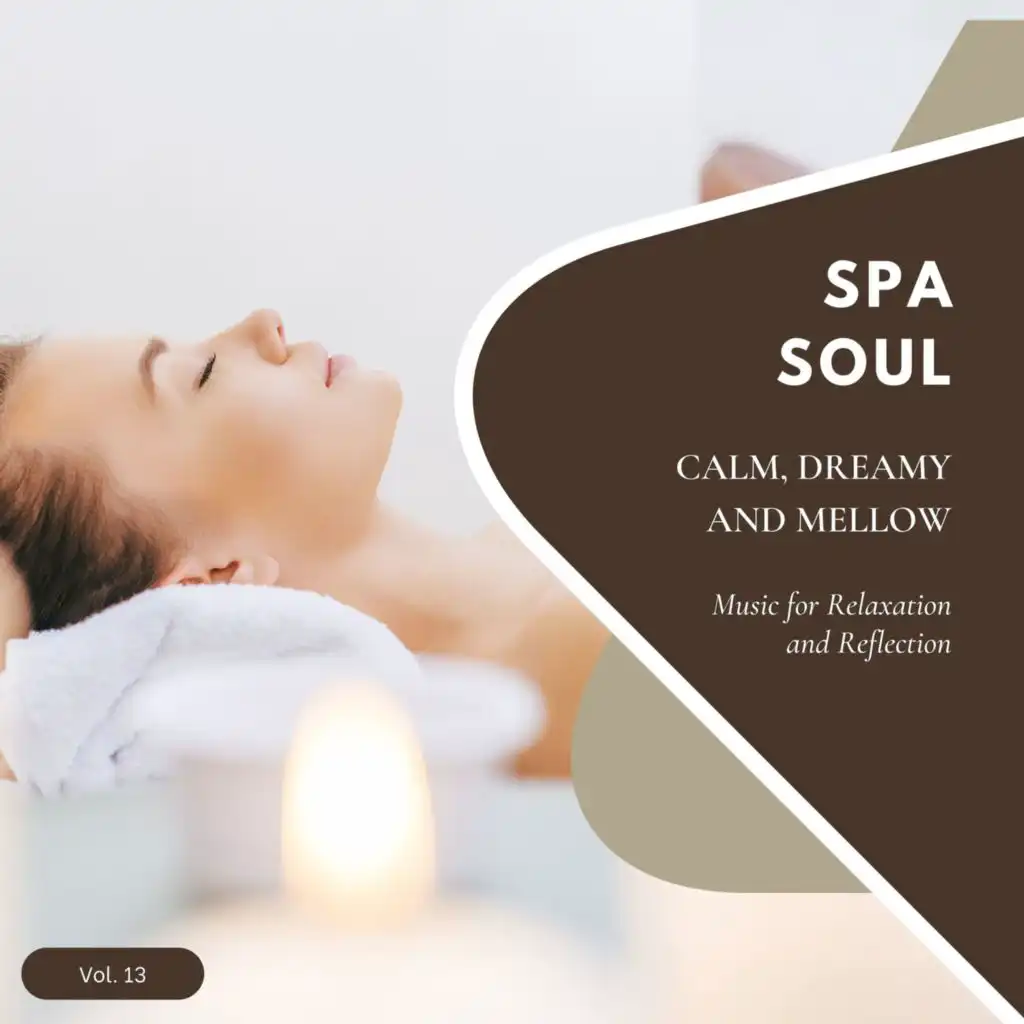 Spa Soul - Calm, Dreamy And Mellow Music For Relaxation And Reflextion, Vol. 13