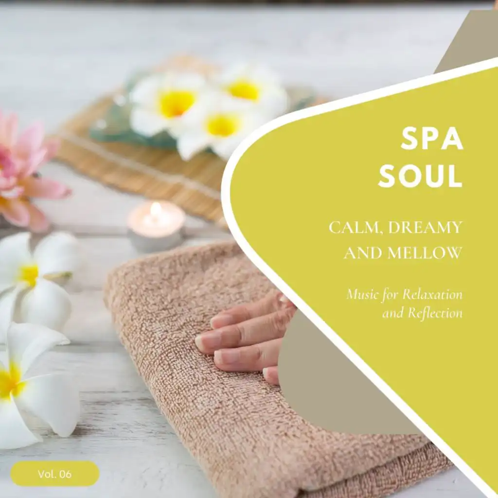 Spa Soul - Calm, Dreamy And Mellow Music For Relaxation And Reflextion, Vol. 06