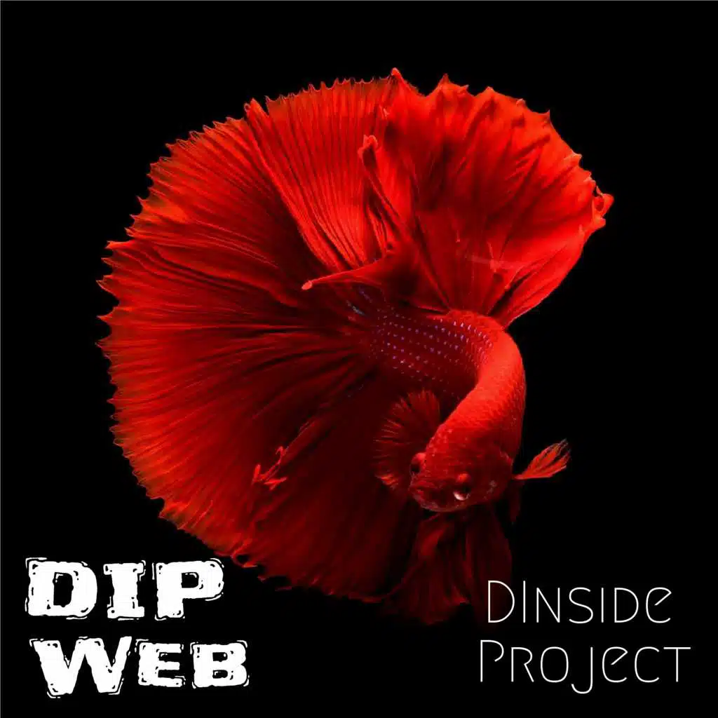 Dip Web (Special Edition)