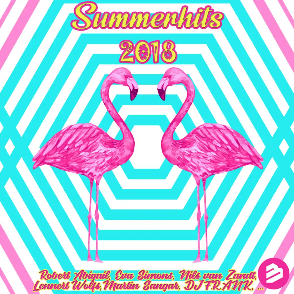 Summerhits 2018