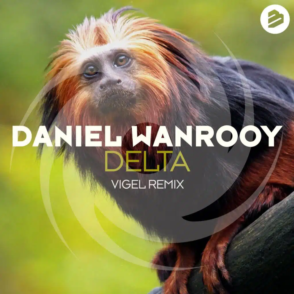 Delta (Vigel Remix)