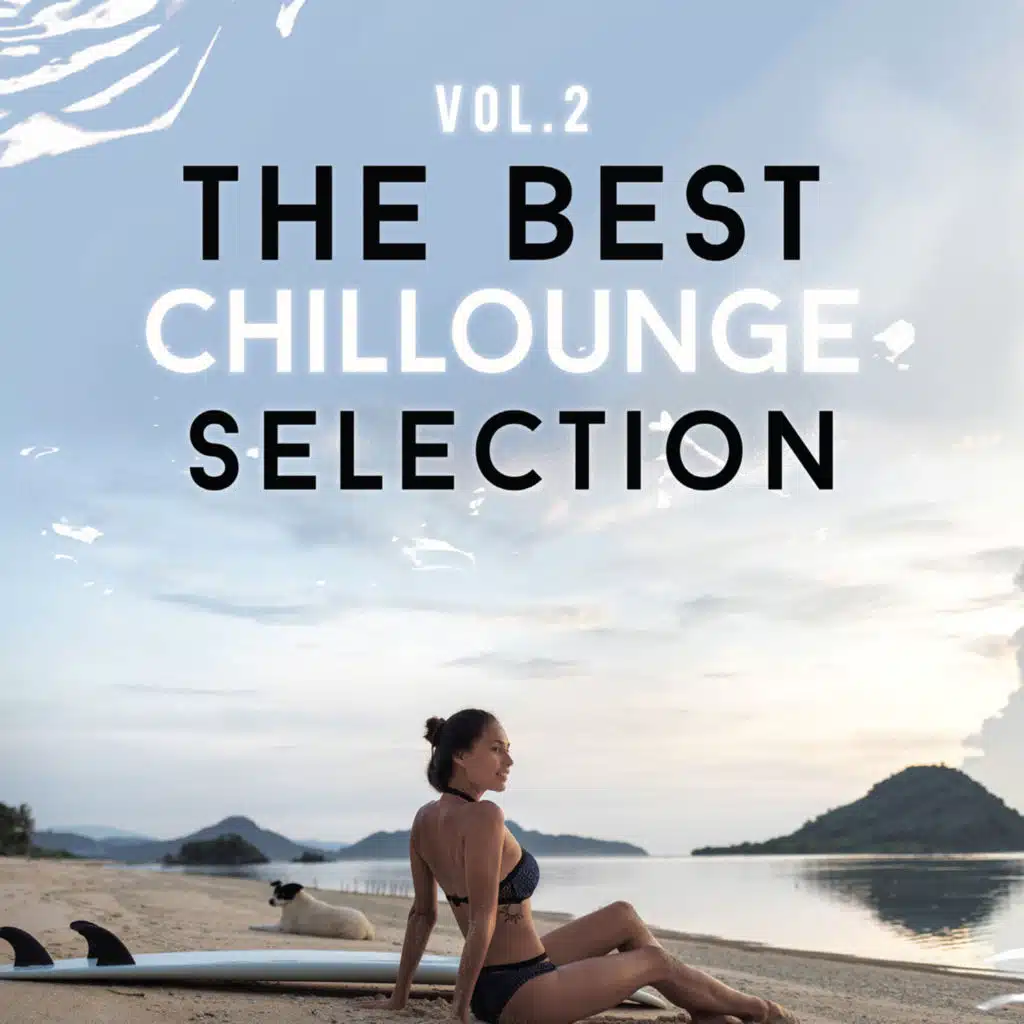 The Best Chillounge Selection, Vol. 2