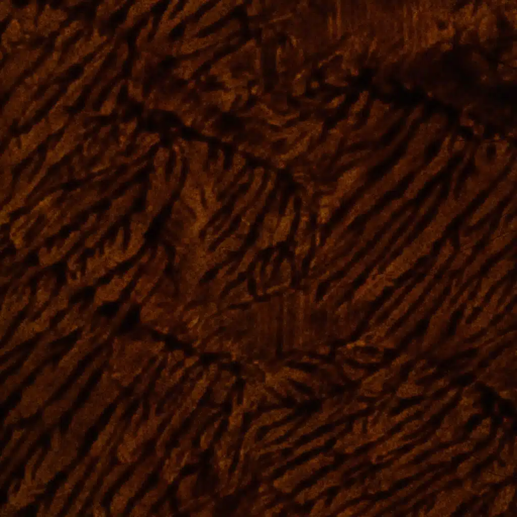 Alien Glyph Morphology