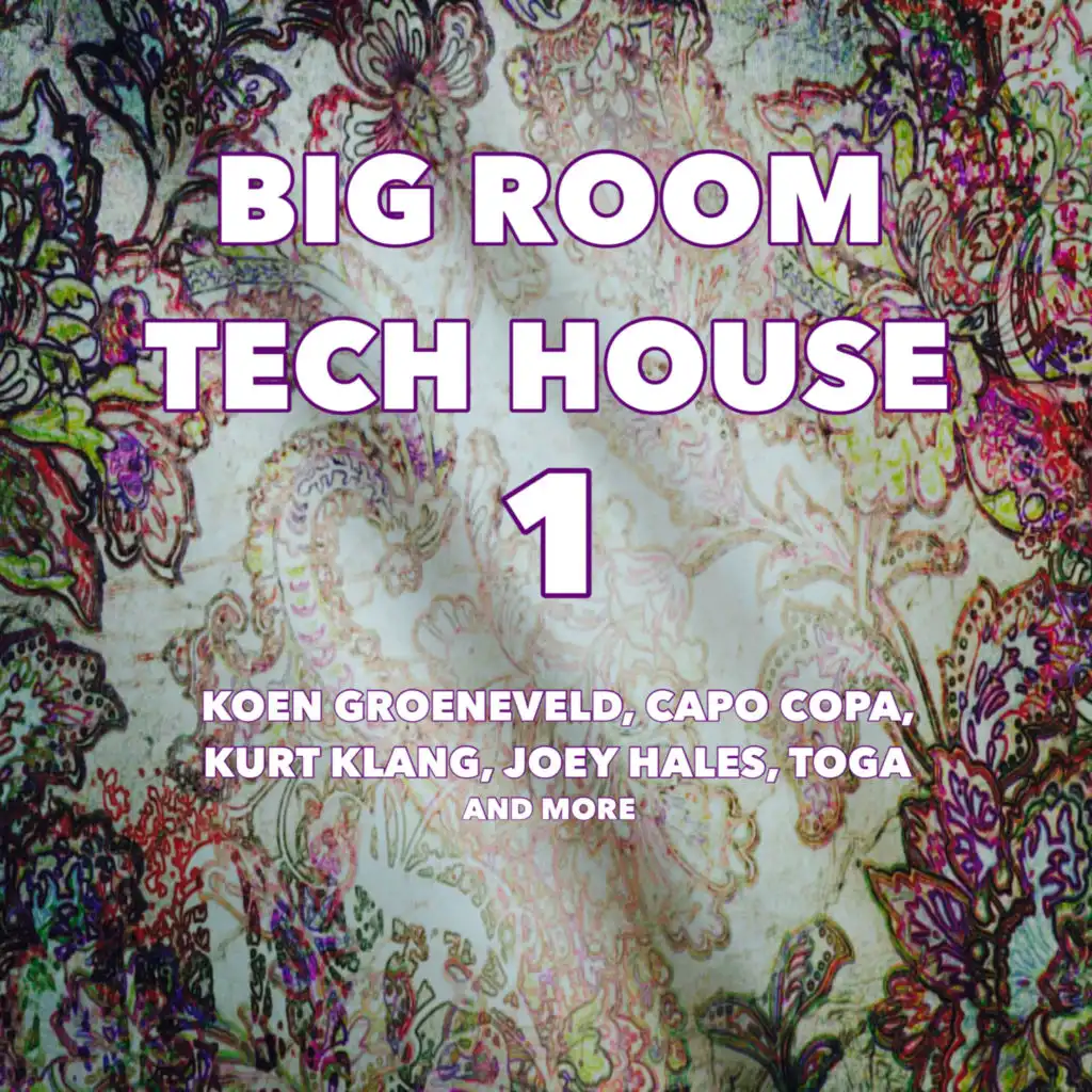 Big Room Tech House 1