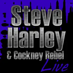 Steve Harley & Cockney Rebel Live