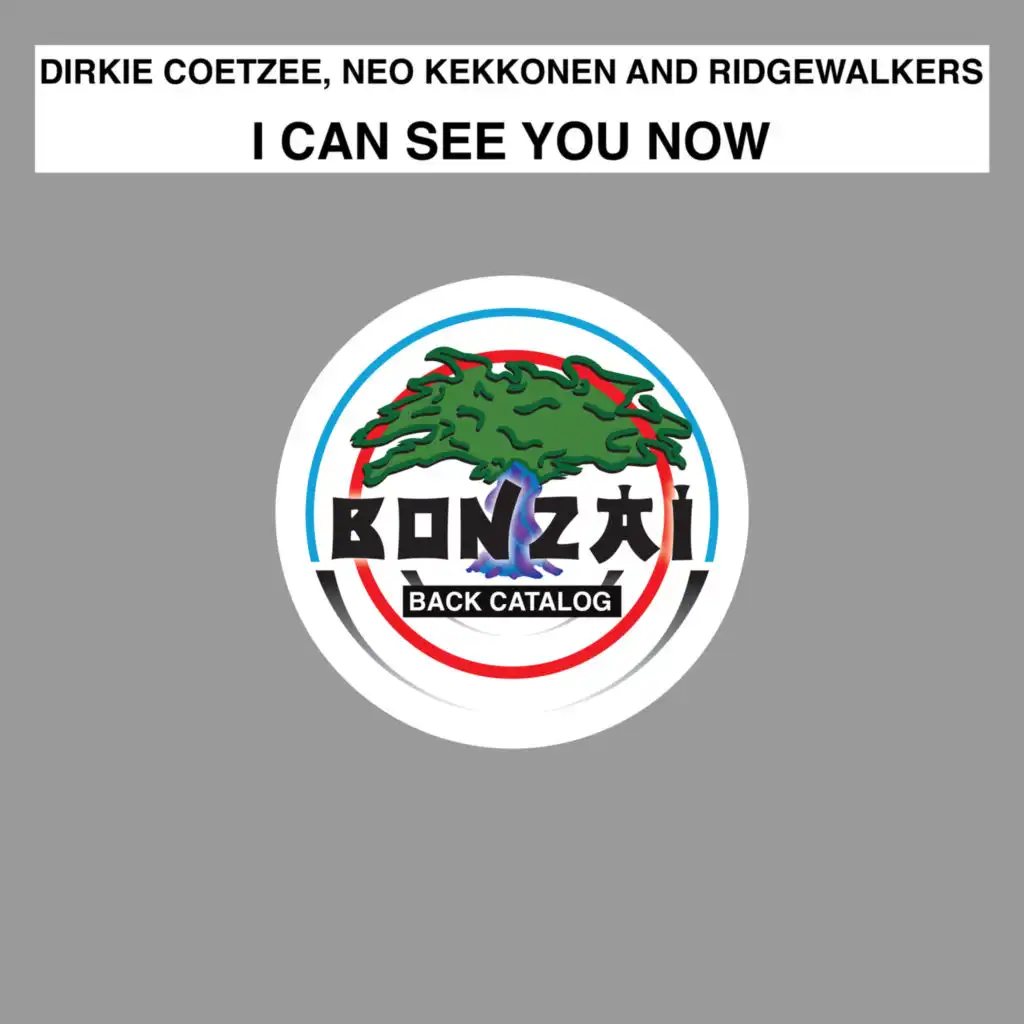 I Can See You Now (Dirkie Coetzee Progressive Mix)
