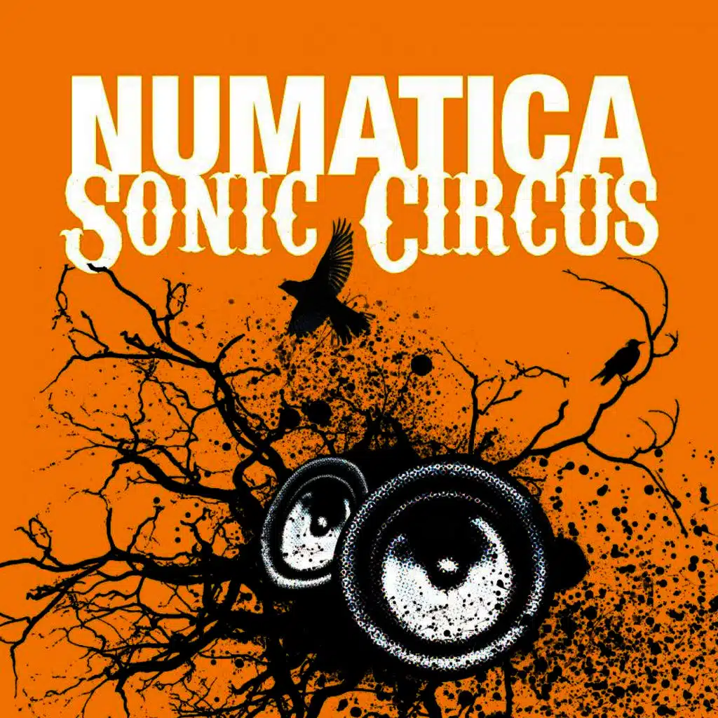 Sonic Circus