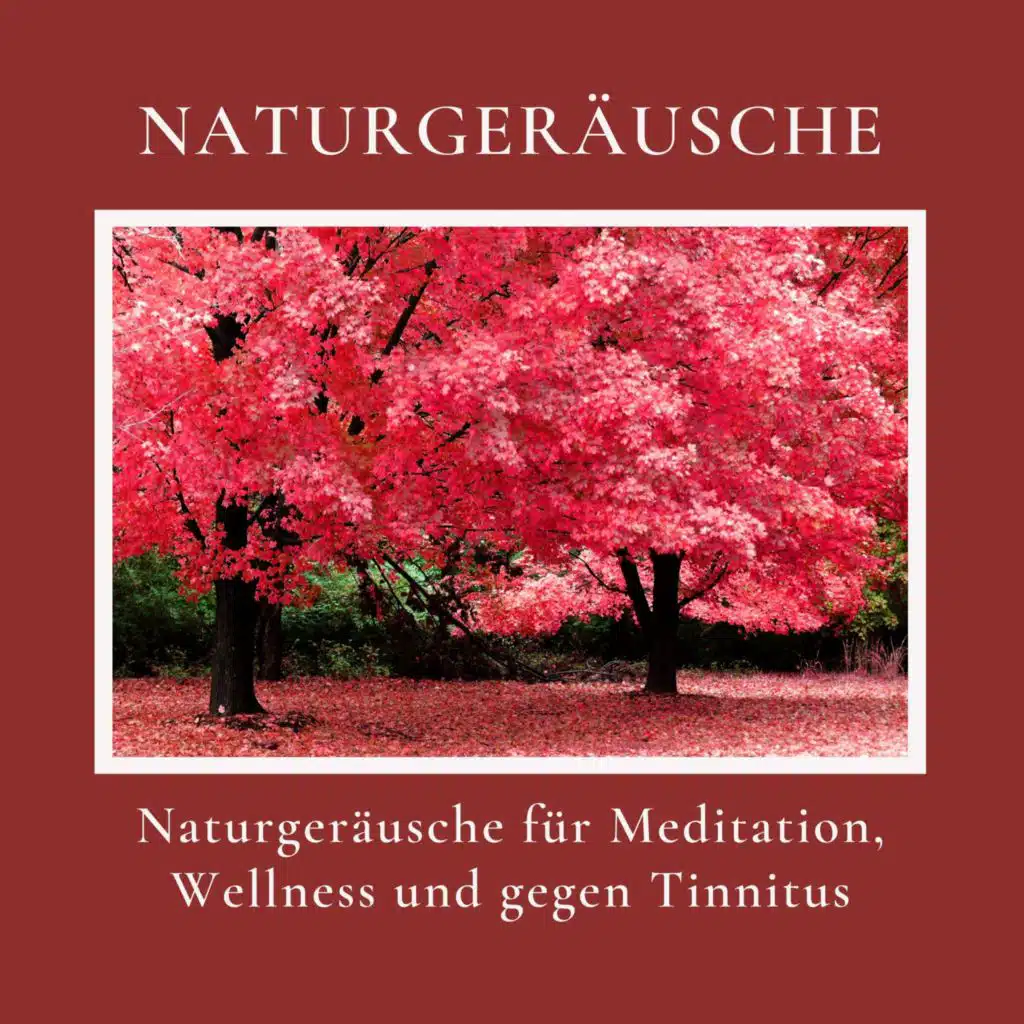 Naturgeräusche für Meditation, Wellness und gegen Tinnitus