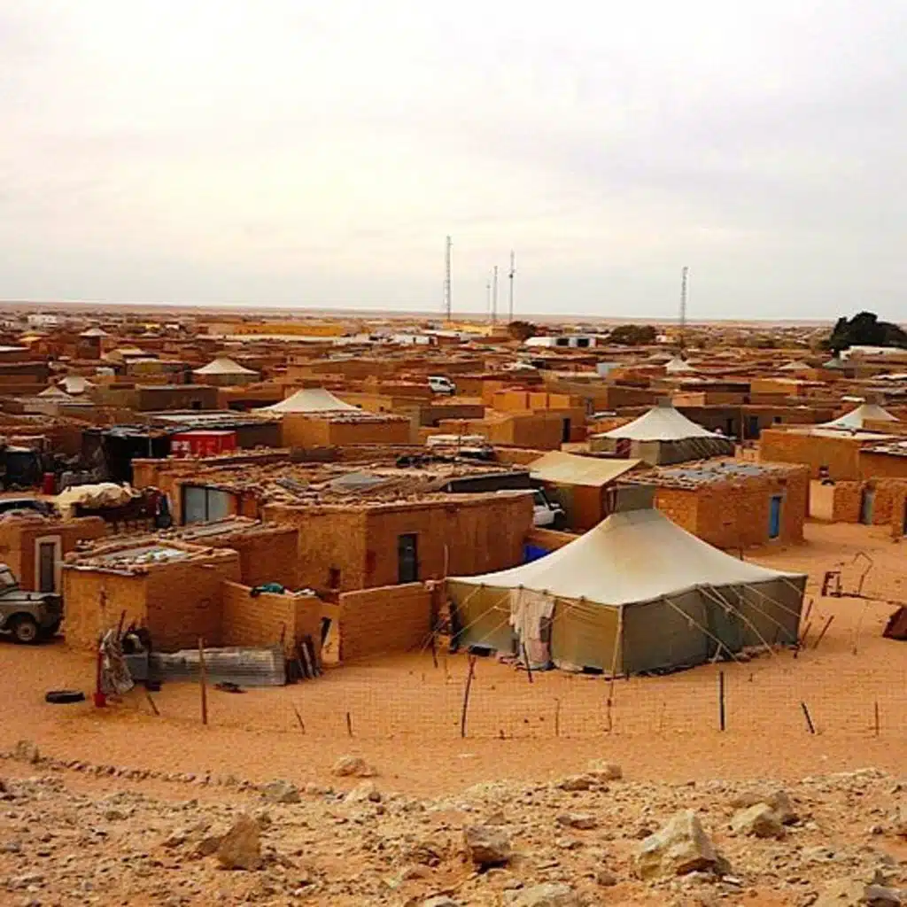Western Sahara: Stalemate and its Discontents