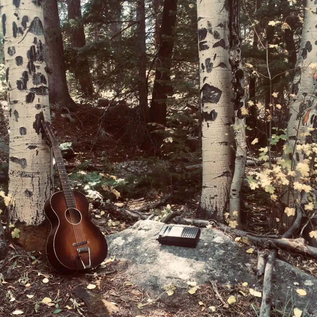 Caribou: Landscapes Volume 1