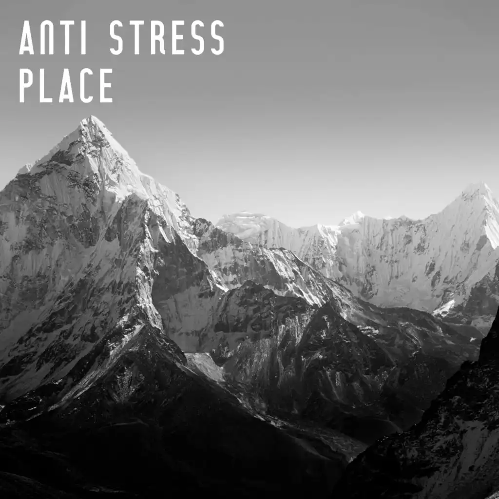 Anti Stress Place – Calm Down, Stress Relief, Pure Relaxation