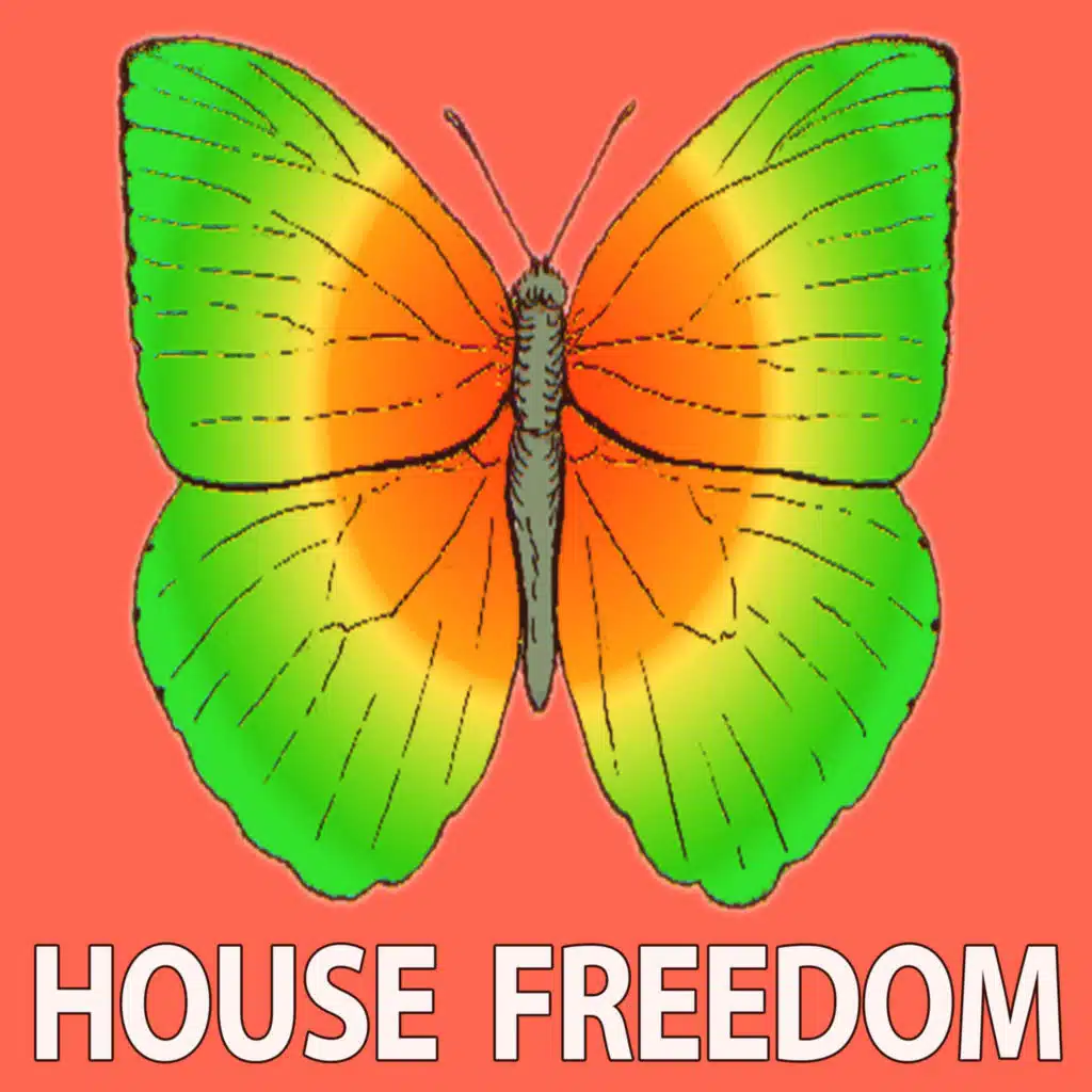 21 ROOM, Rousing House, Bunny House