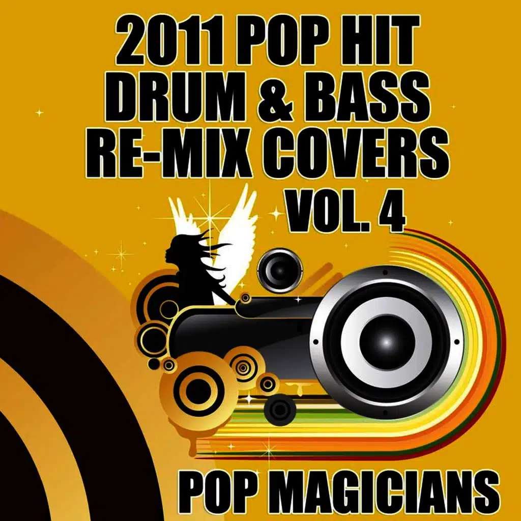 2011 Pop Hit Dubstep Re-Mix Covers Vol. 4
