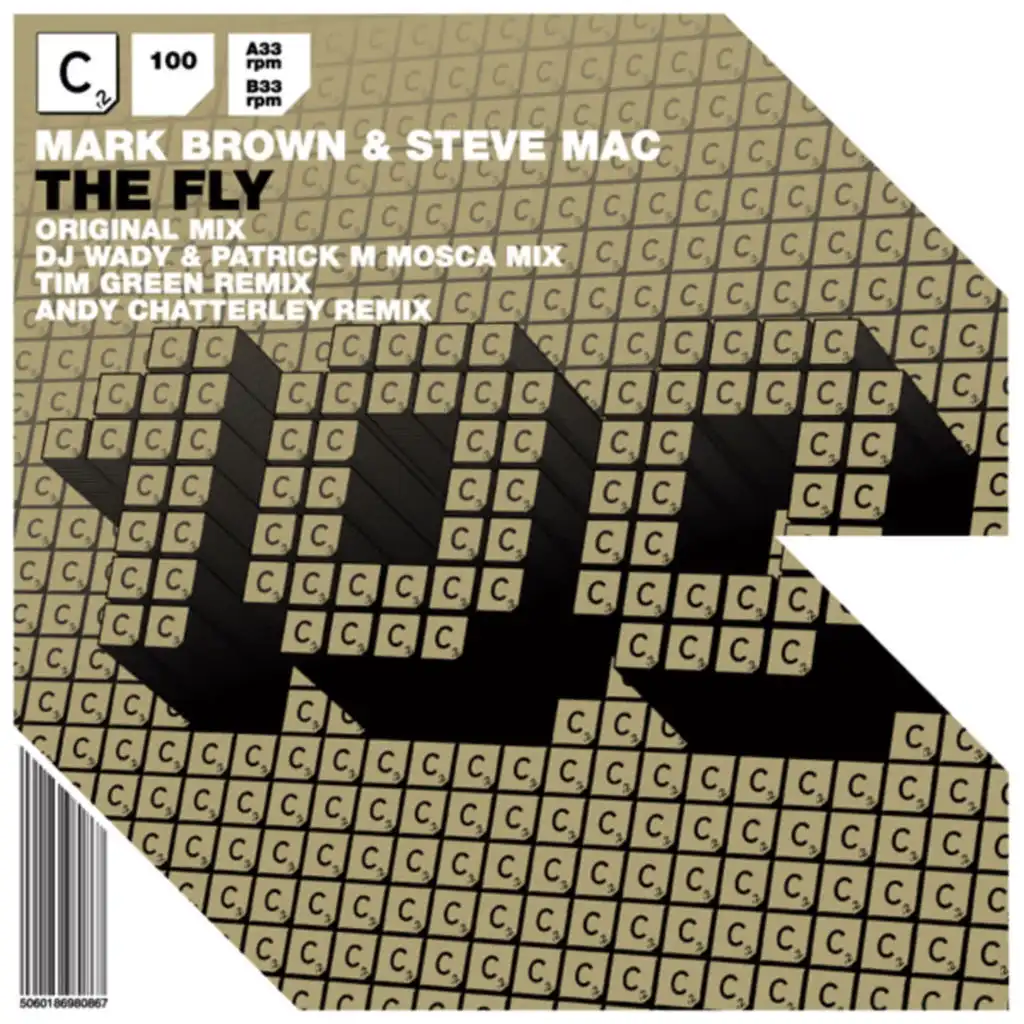 The Fly (Tim Green Remix)