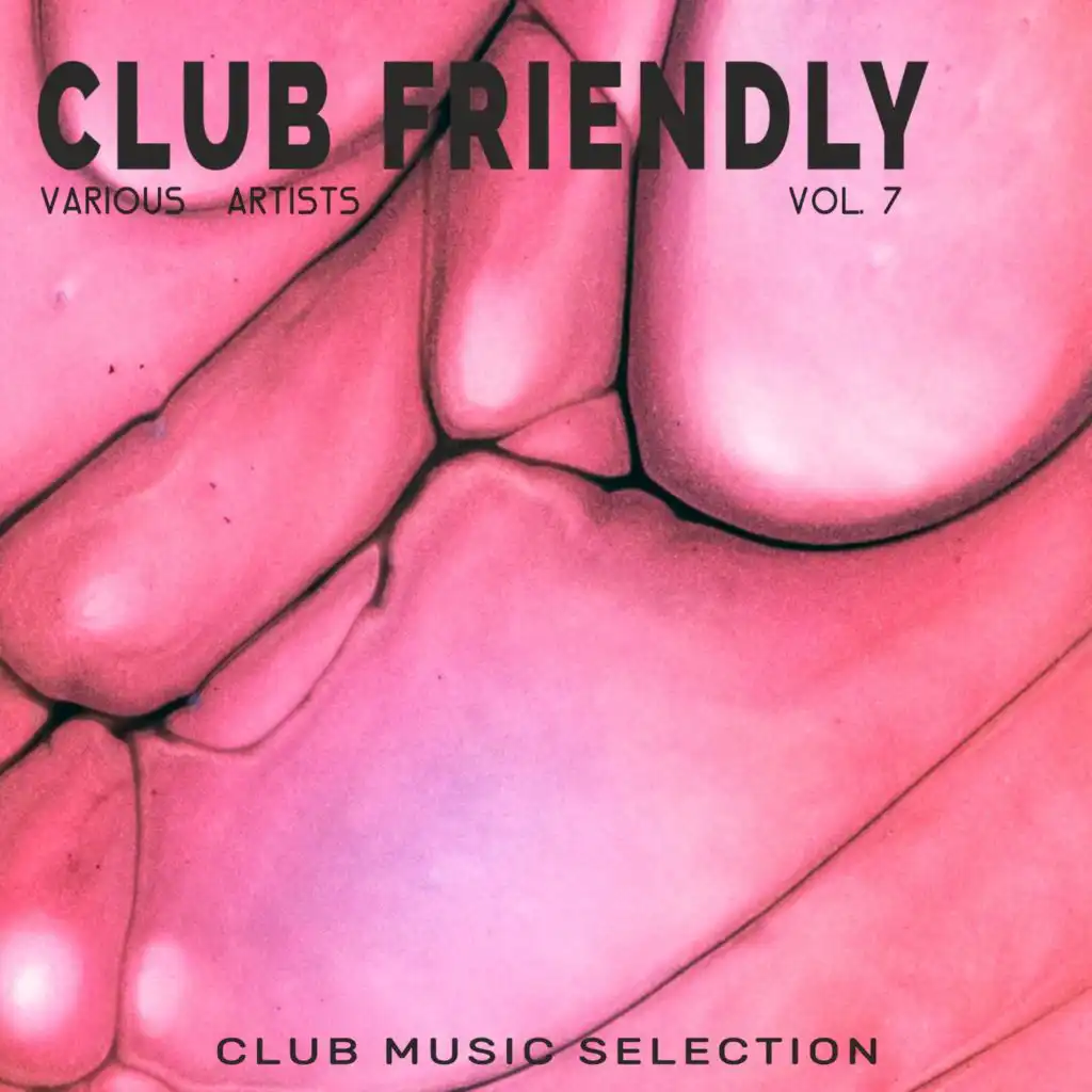 Club Friendly, Vol. 7