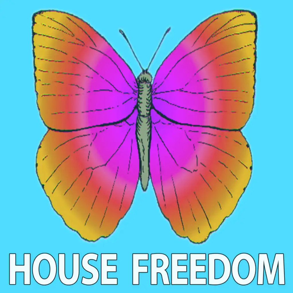 Modern House (Dub Mix)