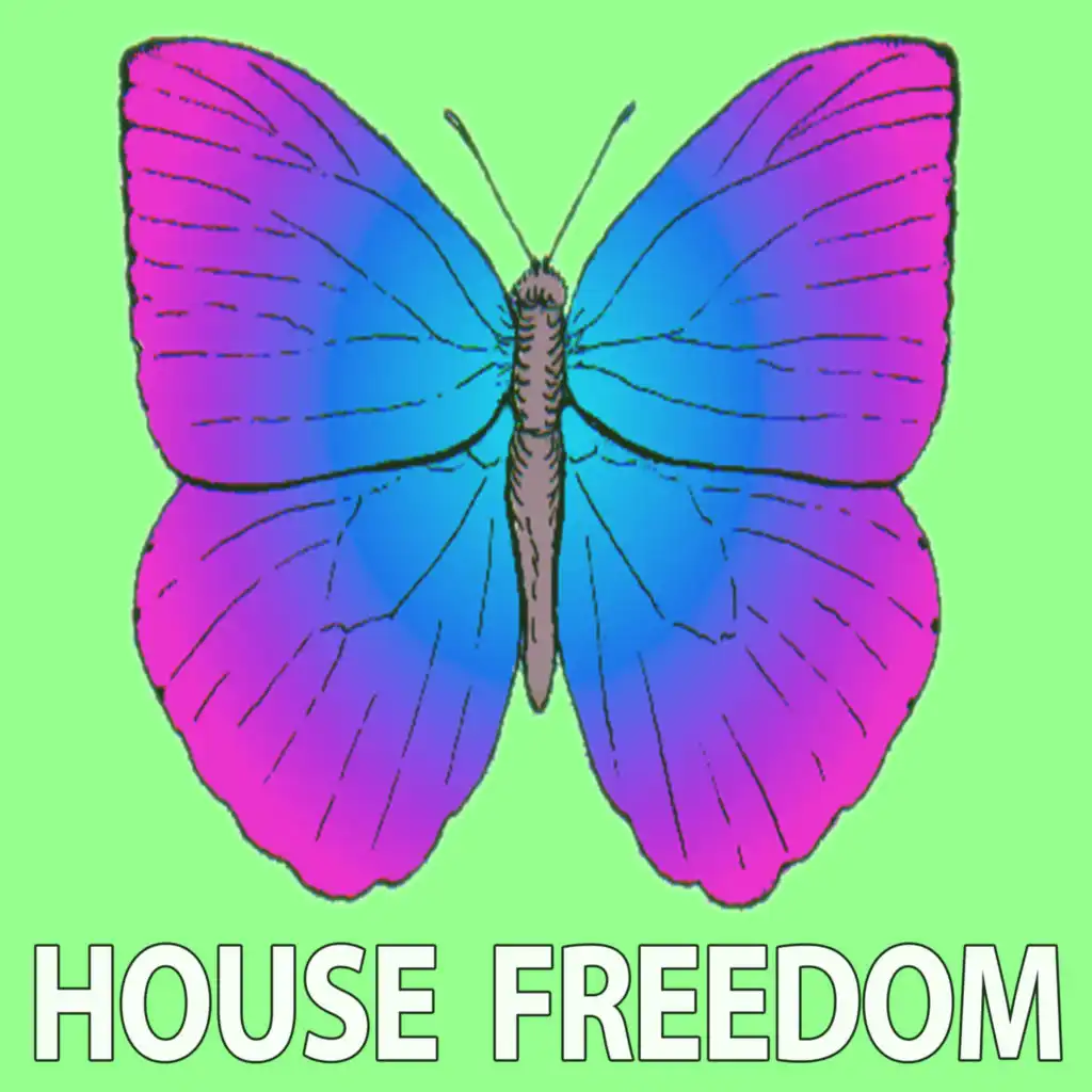 Move In the House (Dub Mix)