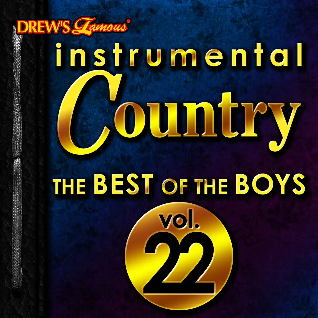 Instrumental Country: The Best of the Boys, Vol. 22