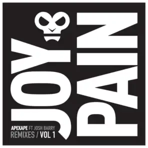 Joy & Pain (Carl Bee Remix) [feat. Josh Barry]