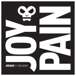 Joy & Pain (Radio Edit) [feat. Josh Barry]