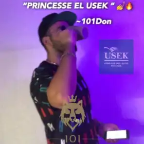 Princesse el USEK (Jagal el usek Remixx)