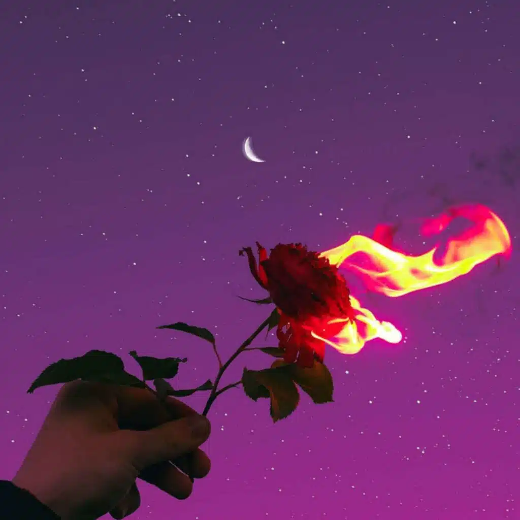 Would You Be My Baby