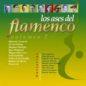 Los Ases del Flamenco, Vol. 2