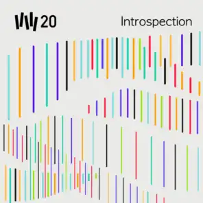 VW20 : Introspection - Volume 3