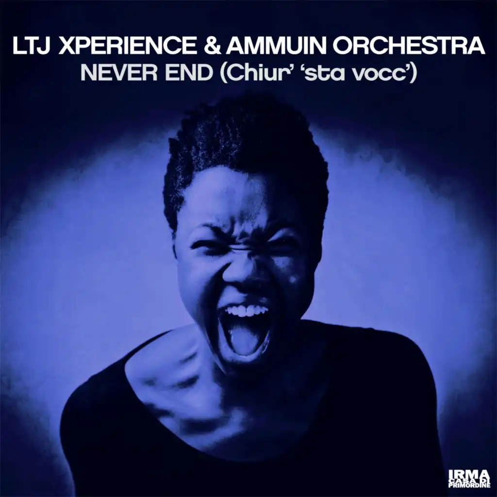 LTJ  Xperience & Ammuin Orchestra