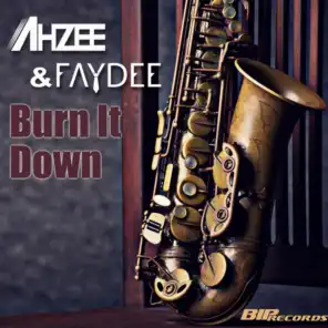 Burn It Down (Radio Edit)