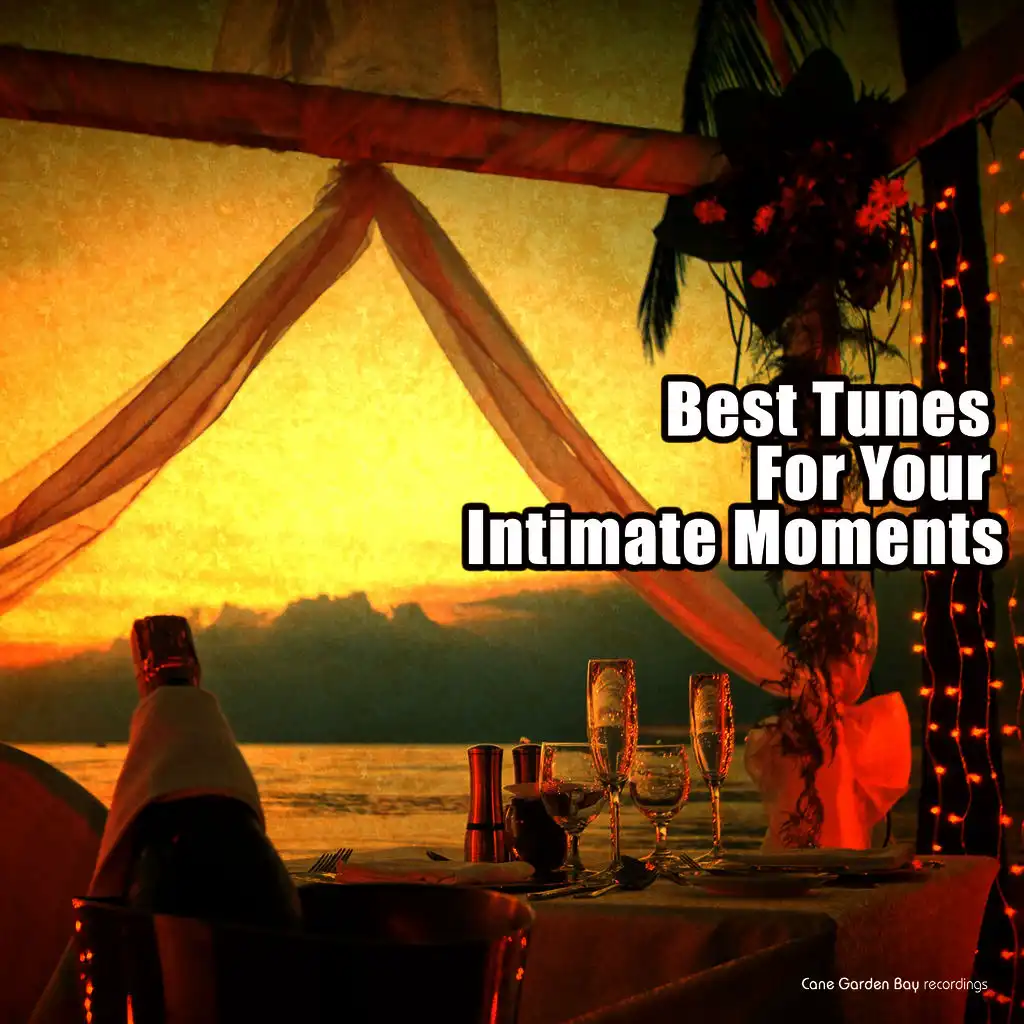 Best Tunes for Your Intimate Moments